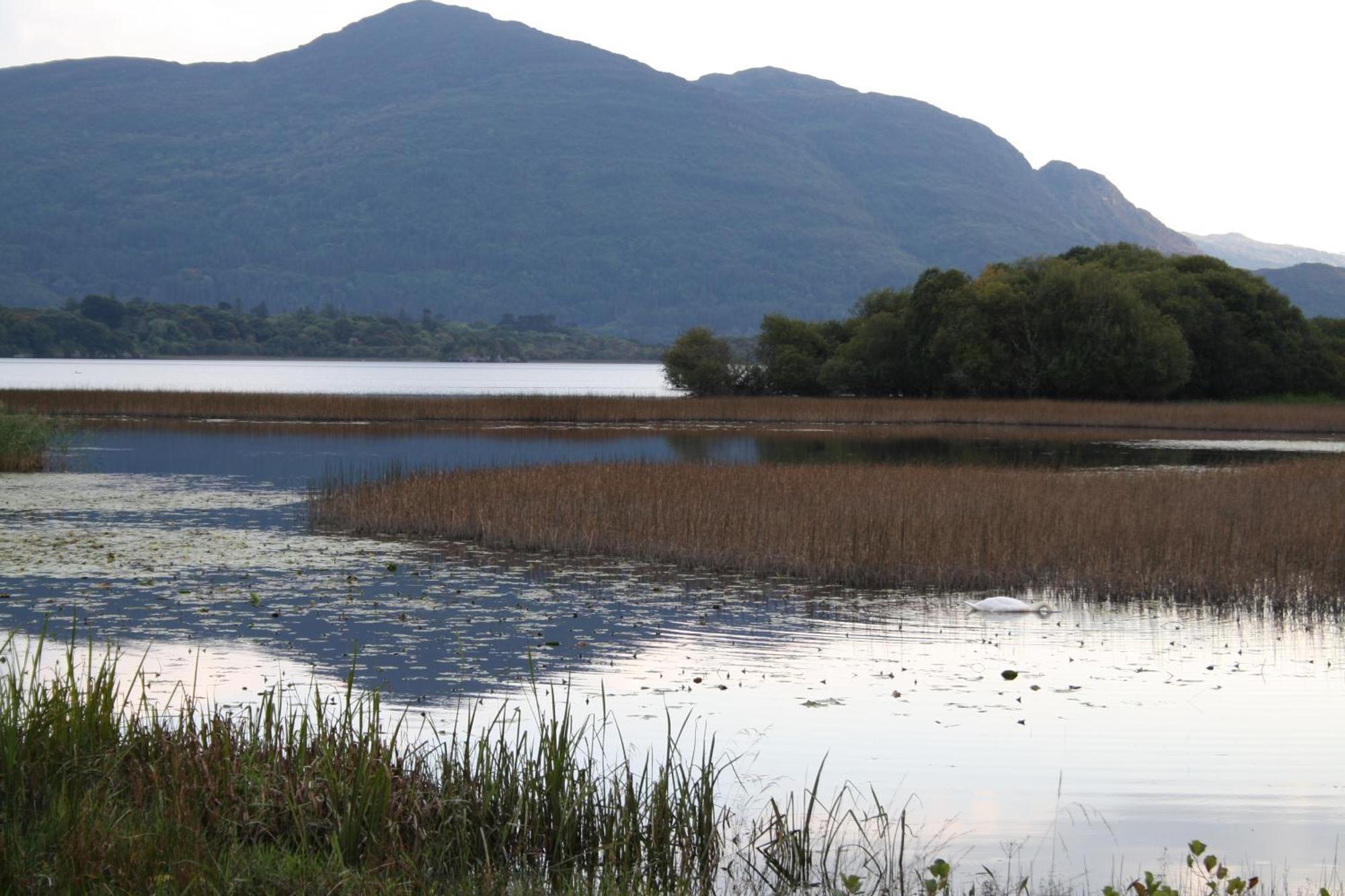 Innisfallen Holiday Homes By Trident Holiday Homes Killarney Quarto foto